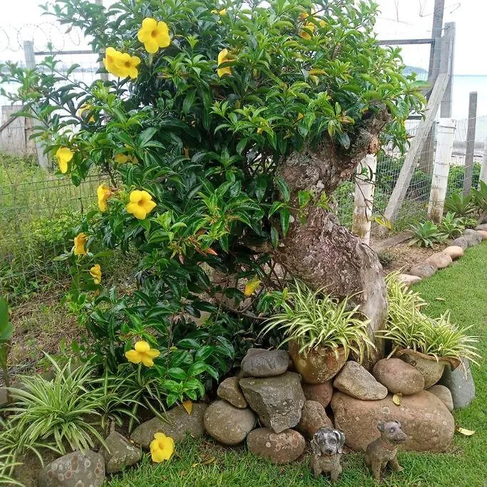Casa de Férias Ferias E Alegrias Em Casa Pe Na Areia! Vila Penha  Brasil